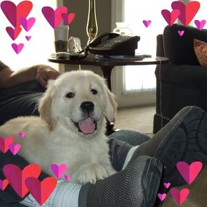 Meet your Posher, Mary jo